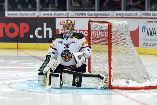 九龍坳回歸 九龍坳回歸